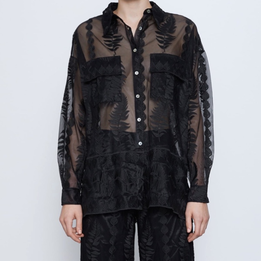 Zara embroidery organza shirt